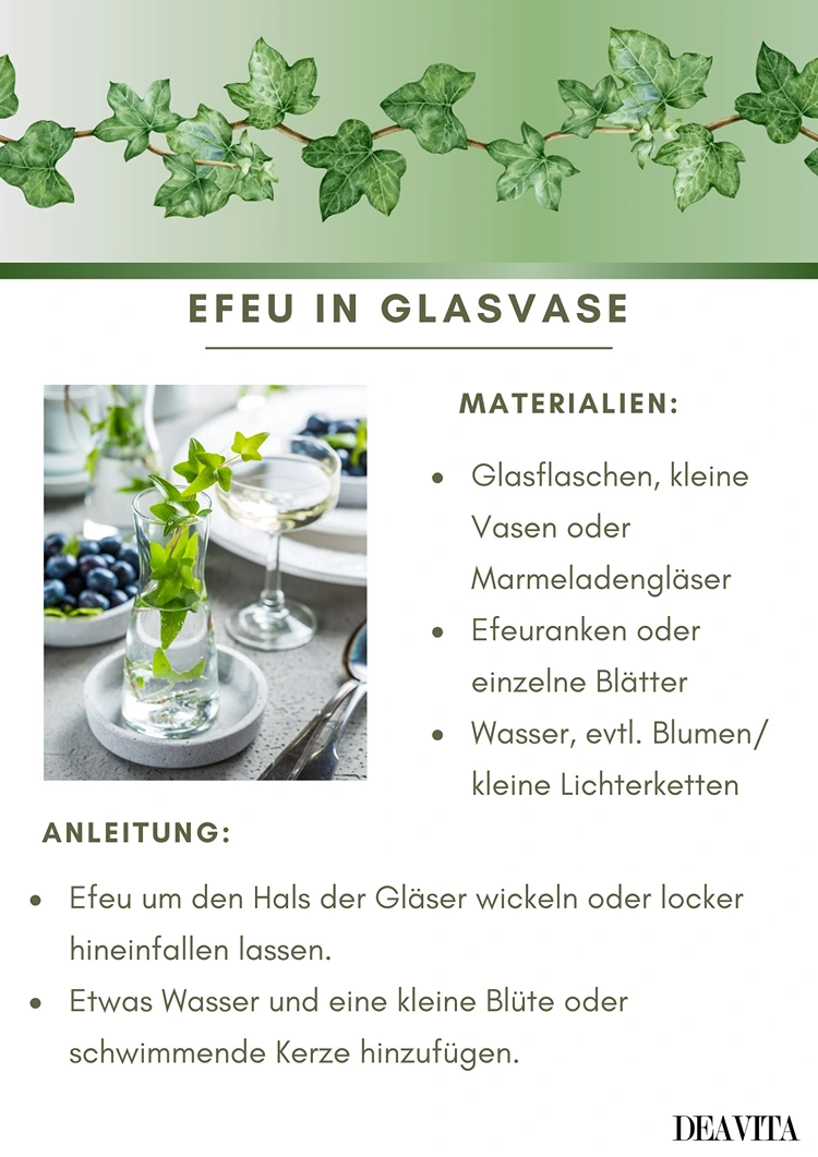 Efeu im Glas auf dem Esstisch arrangieren für moderne, schlichte Deko