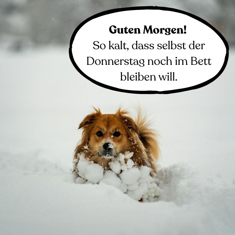 guten morgen am donnerstag kalt grüße