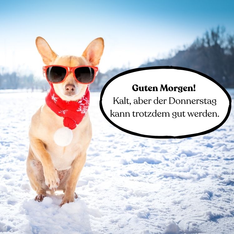 guten morgen donnerstag kalt bilder kostenlos