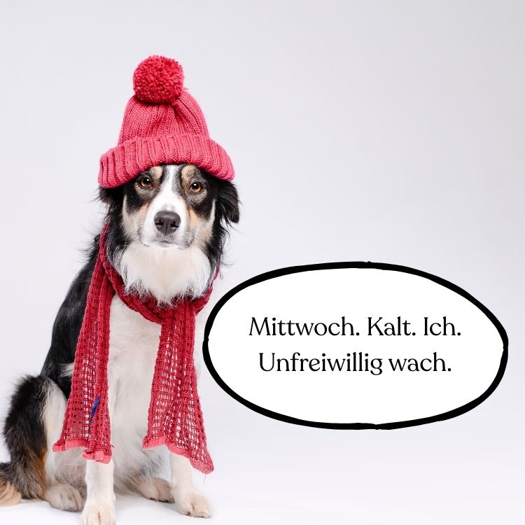 guten morgen mittwoch bilder whatsapp kostenlos