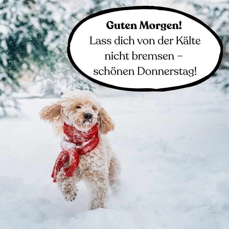 guten morgen und schönen donnerstag winter