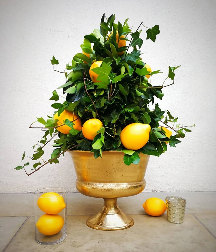 Idee für den Sommer mit Zitronen in einem Efeu-Turm