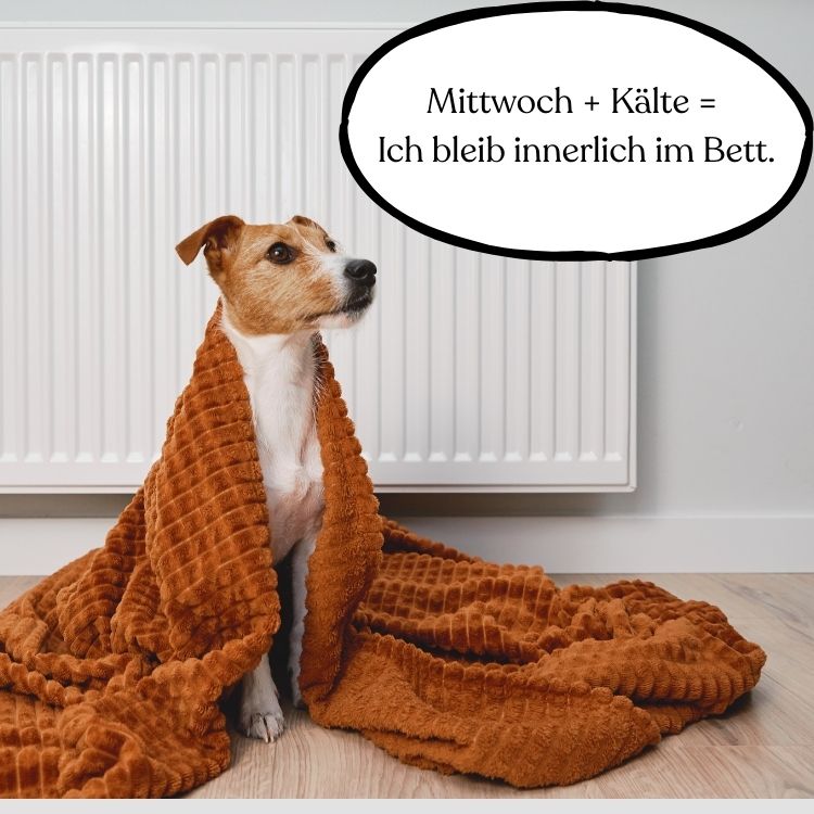 kalt guten morgen mittwoch lustig kalt wochenteiler