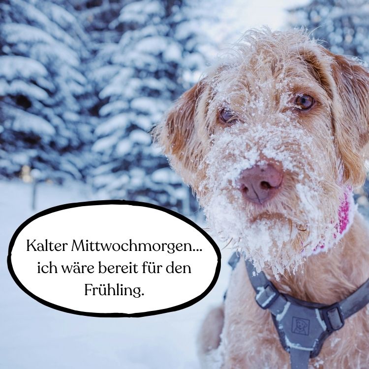 kalt wochenteiler ausgefallen guten morgen mittwoch