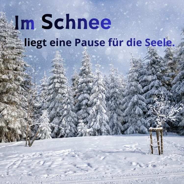 Kostenlose Sprüche zum Verschicken