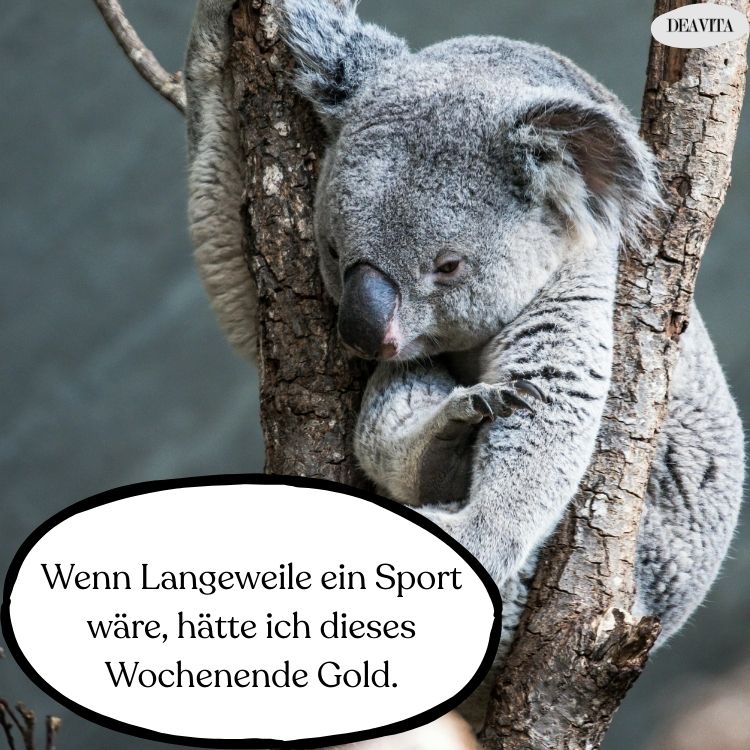 langweilige wochenende witzige sprüche zum teilen kostenlos