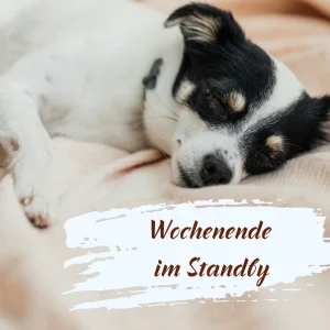 langweiliges wochenende kostenlose bilder lustig