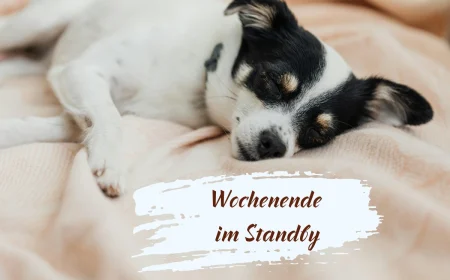 langweiliges wochenende kostenlose bilder lustig