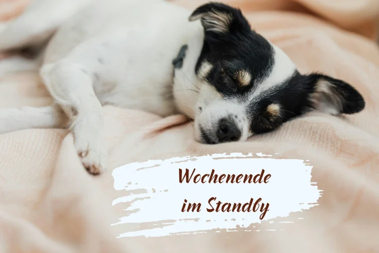 langweiliges wochenende kostenlose bilder lustig