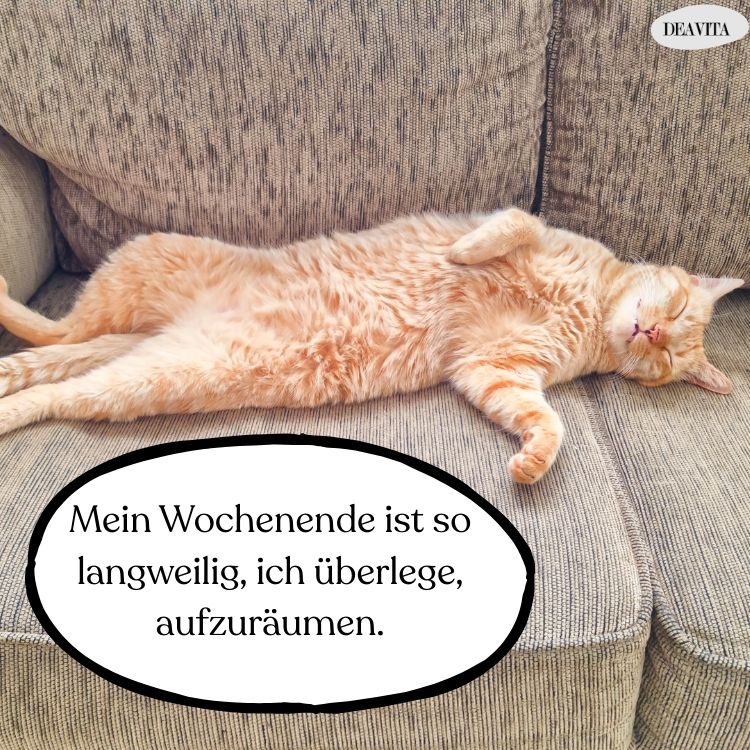 langweiliges wochenende lustige bilder zum teilen