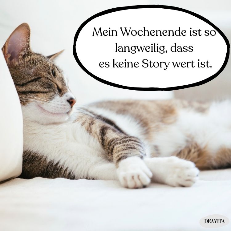 langweiliges wochenende sprüche bilder für facebook story