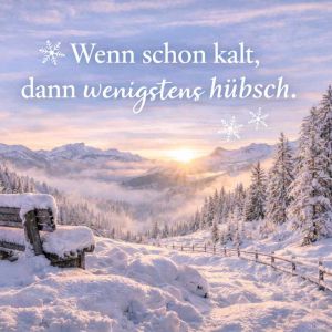 lustige schnee sprüche für den winter