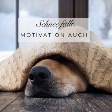 Lustige Schnee Sprüche für Wochenende und Arbeitswoche