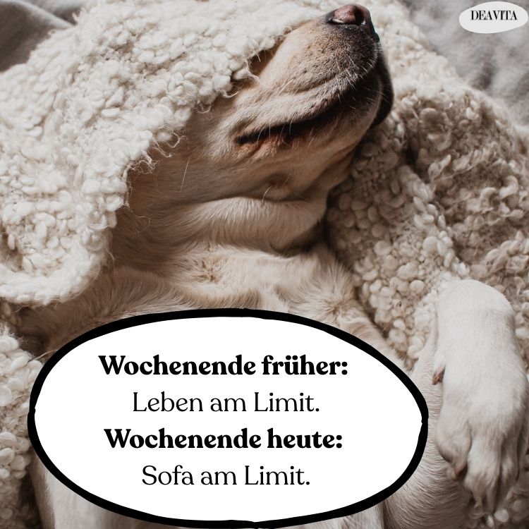 lustige sprüche zum wochenende kostenlos