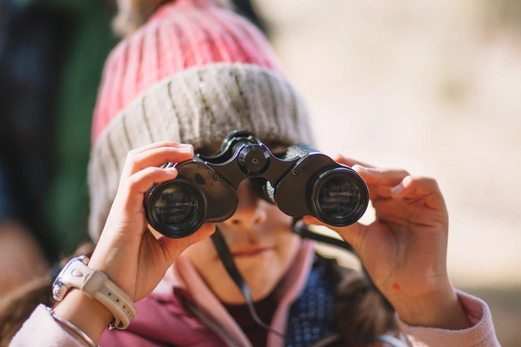 Mit einem Fernglas Vögel und andere Dinge finden und beobachten