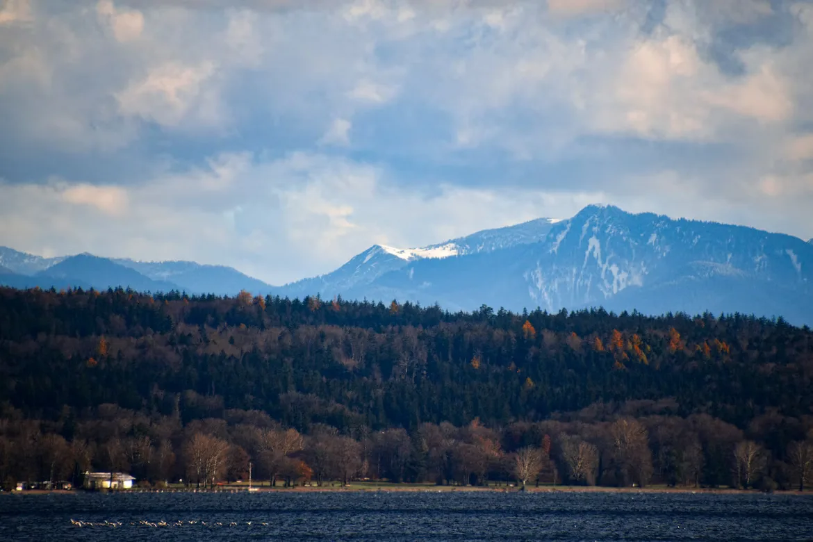 schöne Natur am Starnberger See