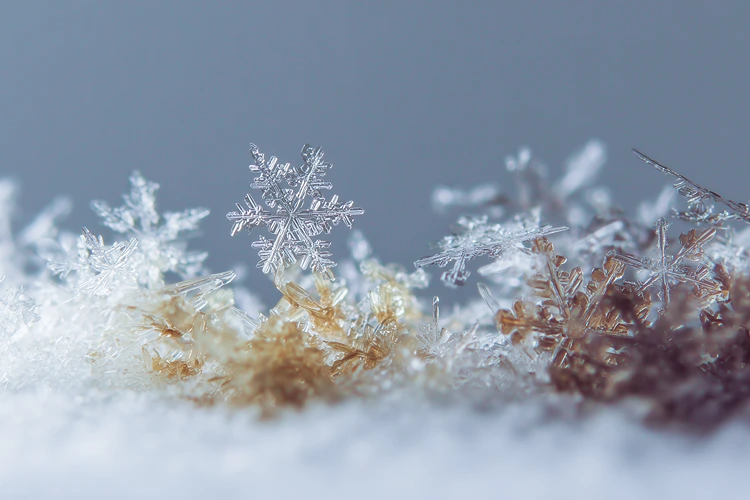 Winter-Experimente für Kinder - Kristalle mit Lupe oder Mikroskop beobachten