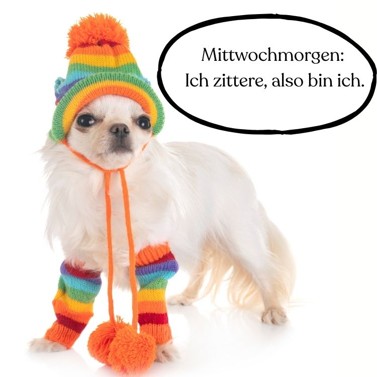 witzig guten morgen mittwoch kalt wochenteiler