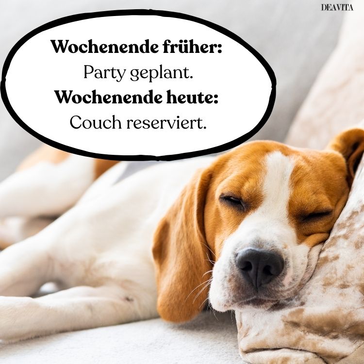 witzige sprüche zum wochenende kostenlose bilder