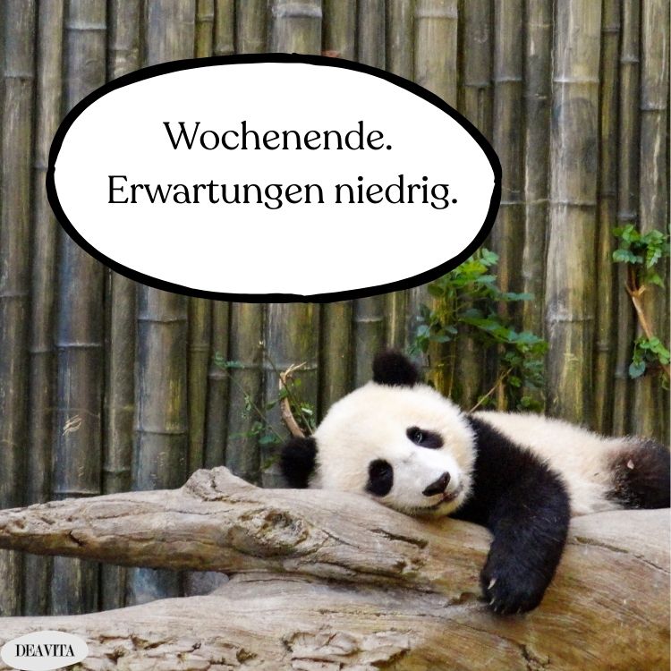 wochenende erwartungen niedrig lustiges bild