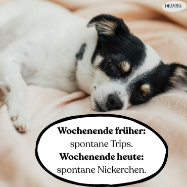 wochenende lustige bilder und sprüche kostenlos