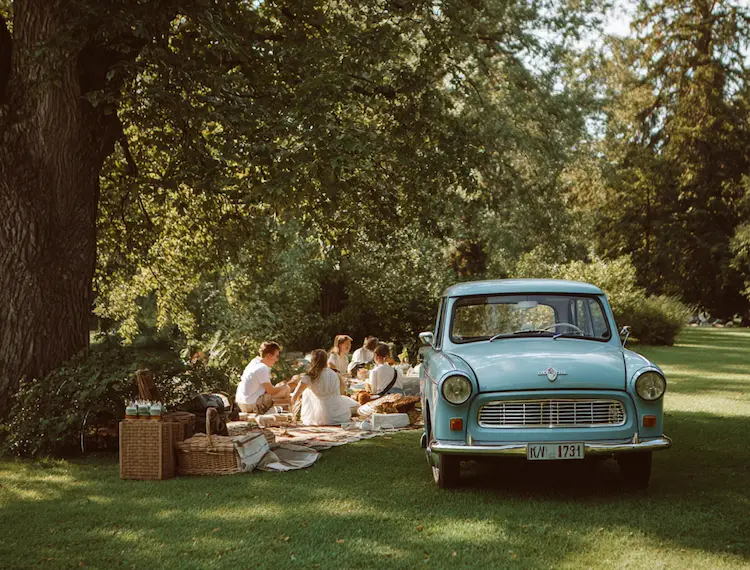 picknick mit trabant organisieren zum geburtstag